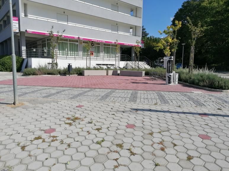 Arranjo urbanistico do campilho